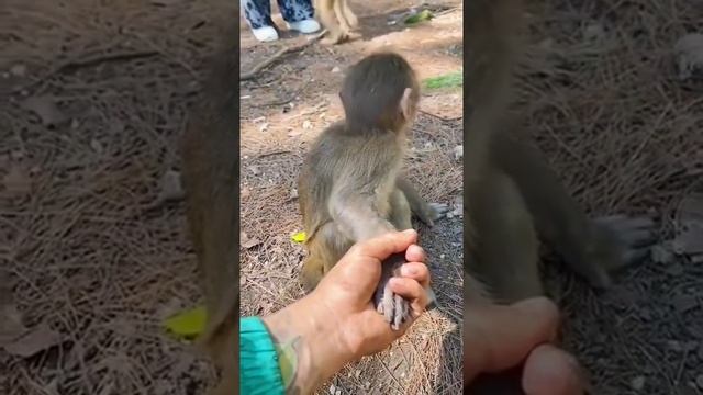 Ой, не та рука! смотреть онлайн