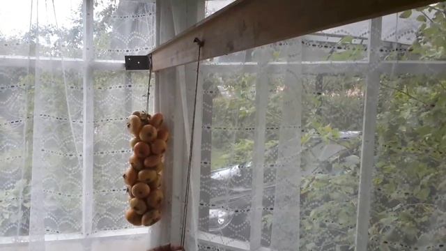 Как хранить лук смотреть онлайн