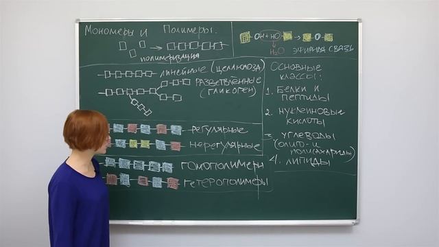 Биология. Биохимия. Органические соединения – мономеры и полимеры. Центр онлайн-обучения «Фоксфорд» смотреть онлайн
