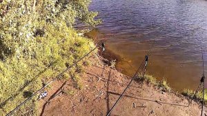 Ловля карася на флэт весной.