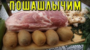 Сочный шашлык в киви-маринаде
