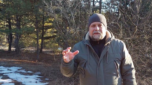 Суды на Украину! Видение 23 февраля 2022 г. смотреть онлайн