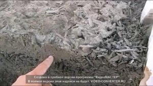 монолитный арболит (ошибки)