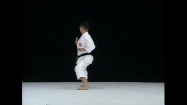 Дзион Бункай