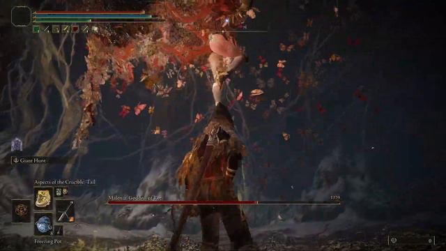 Destroying the Blade of Miquella | no hit Ng+7 смотреть онлайн