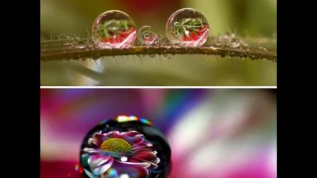 Капельки росы \ City By The Sea