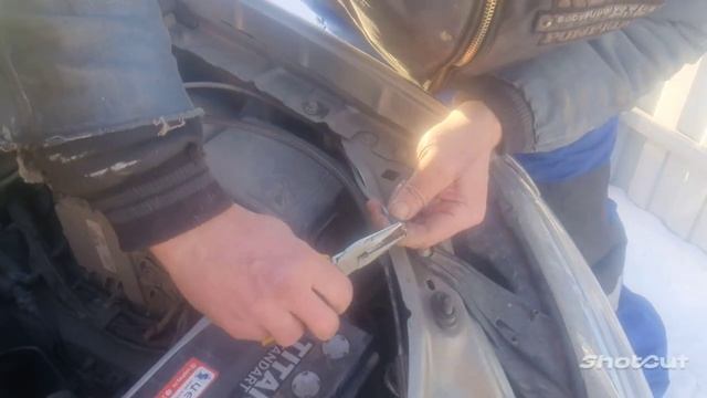 БЛИЖНИЙ СВЕТ станет лучше. смотреть онлайн