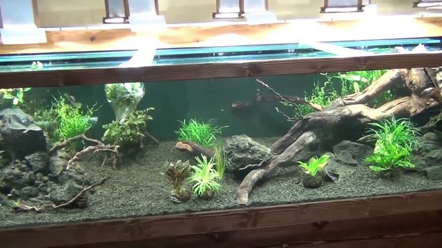Перезапуск аквариума ч.3 Посадка растений. смотреть онлайн