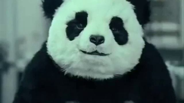 Никогда не говори "нет" панде (русский) смотреть онлайн