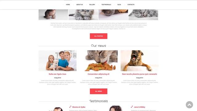 Vet Consulting Drupal Template - 50984 смотреть онлайн