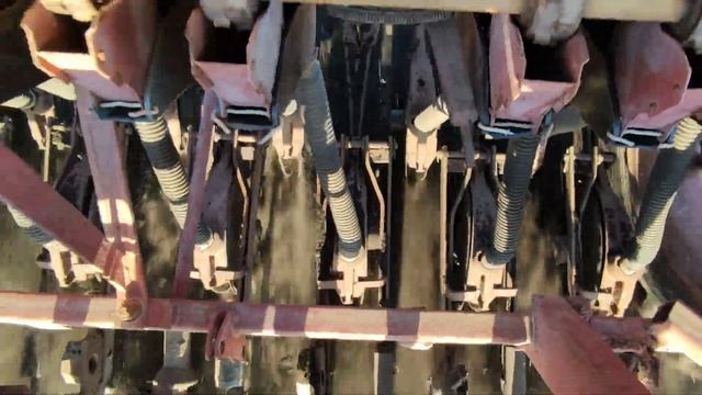 Посев люцерны в разных условиях смотреть онлайн