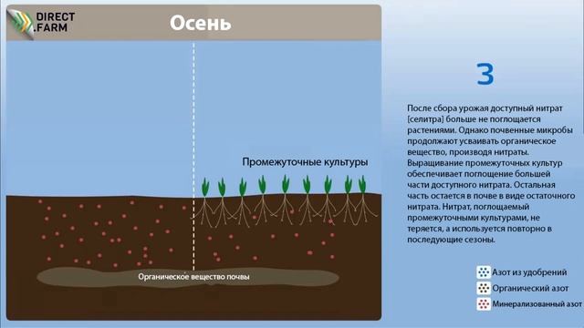 Нитратный азот. Потери за счет вымывания по сезонам года смотреть онлайн