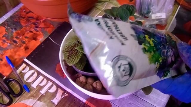 Групповая посадка, которую можно быстро изменить. 4 часть. смотреть онлайн