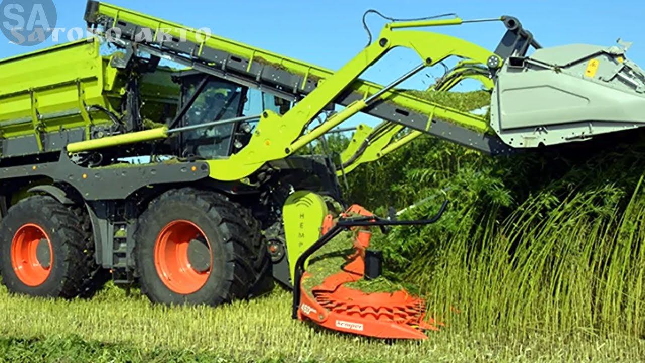 Комбайны для СБОРА КОНОПЛИ. Самая весёлая работа! смотреть онлайн