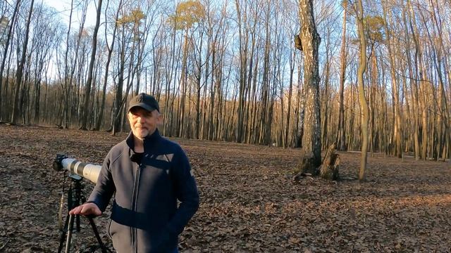 Фотоискусство и Эстетика