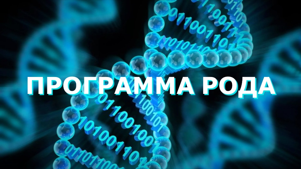 Программа рода смотреть онлайн