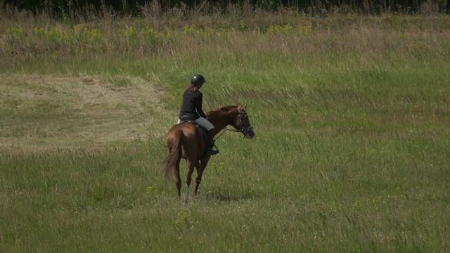 Конно-спортивная школа Тулпар H2320034 смотреть онлайн