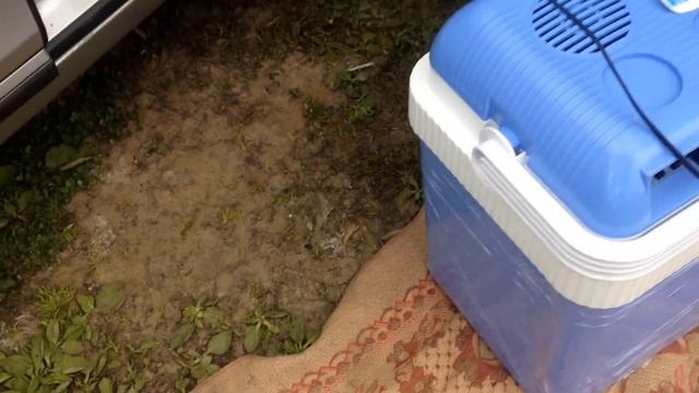 Обзор авто холодильника Mystery MTC-24