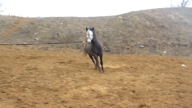 Стройка Заданий