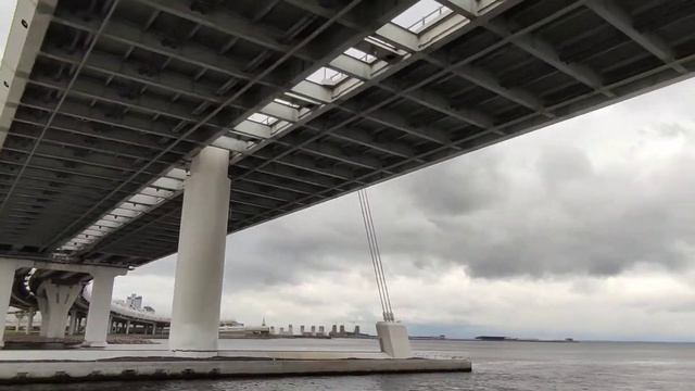 Поездка на "Метеоре" от Петергофа до центра Питера смотреть онлайн