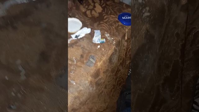 Постоянно где недавно были бомжи... смотреть онлайн