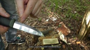 Нож Morakniv Companion HeavyDuty против Mora Companion. Ножи для леса.