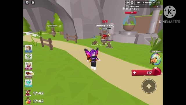 PET HEROES “CODES” and how to get the FIRST SECRET PET Roblox!!! смотреть онлайн