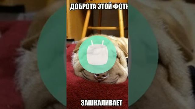 Секретная игра телефона смотреть онлайн