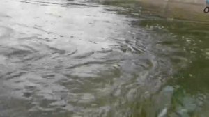 Рыбалка на Бии на ХАРИУСА 🎣