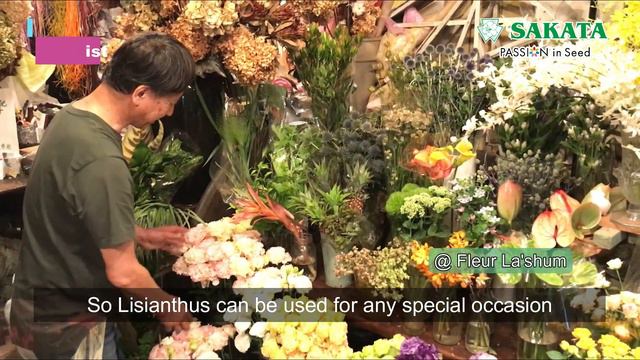Introduction / Attractiveness of Lisianthus смотреть онлайн