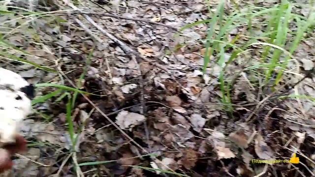 Уборка по-новому