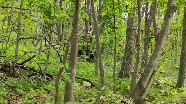 Дорога на остров Шкота. Остров Русский. Приморский край шикарные виды ??? HD 4K качество ??