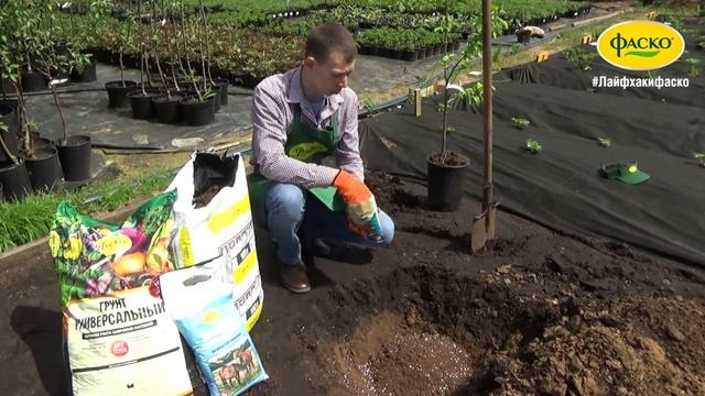 Закладка плодового сада в июне смотреть онлайн