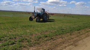 Карбамид 40кг./га. по листу на пшеницу