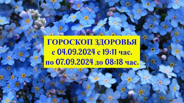 "ГОРОСКОП ЗДОРОВЬЯ с 4 по 7 СЕНТЯБРЯ 2024 года!!!" смотреть онлайн