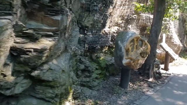 ЗООПАРК В ПРАГЕ - Чехия (Prague Zoo) - #VLOG (62) 25.08.20 #Чехия #Прага смотреть онлайн