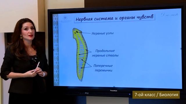 “Dərs vaxtı”: 7-ci sinif dərsləri (rus bölməsi) (10.02.2022) смотреть онлайн