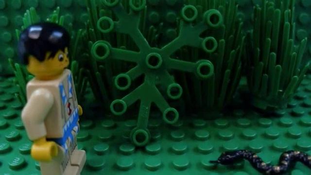 A narrow Fellow in the Grass смотреть онлайн