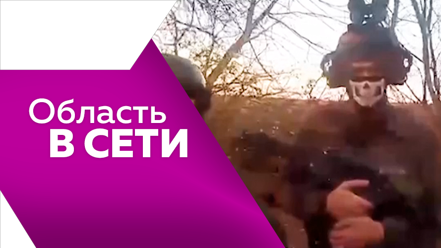 Программа"Область в сети" №231 смотреть онлайн