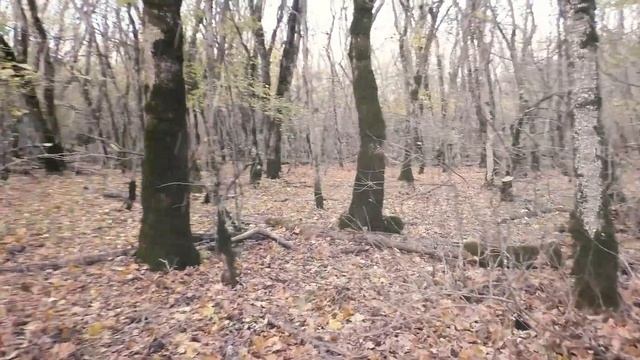 Осеннее размышление смотреть онлайн
