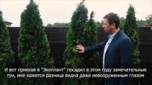 ГОЛУБИКА. Посадка и Уход за Голубикой Садовой Высокорослой