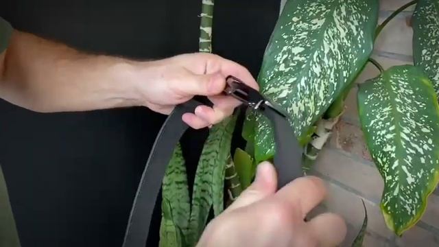 Ремень ручной работы из натуральной кожи с автоматической пряжкой. смотреть онлайн