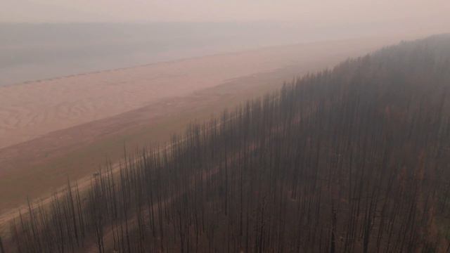 Лето в дыму | featured by DJI Mavic Air 2 смотреть онлайн