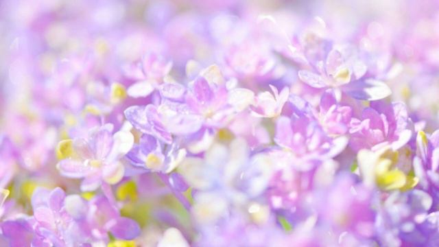 ドヴォルザーク: ロマンス ヘ短調 Op. 11［ナクソス・クラシック・キュレーション #ロマンチック］／Antonin, Dvorak: Romance in F Minor, Op. 11 смотреть онлайн