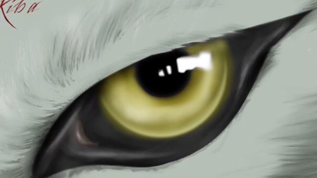 AMV Wolf's rain Monster by Imagine Dragons смотреть онлайн
