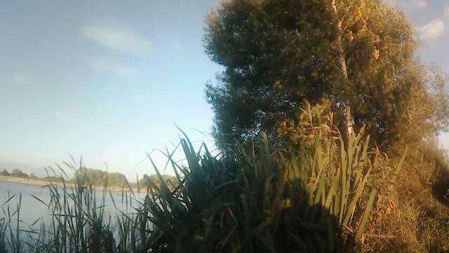 Последняя рыбалка на реке Востец 2022 !!!!! смотреть онлайн