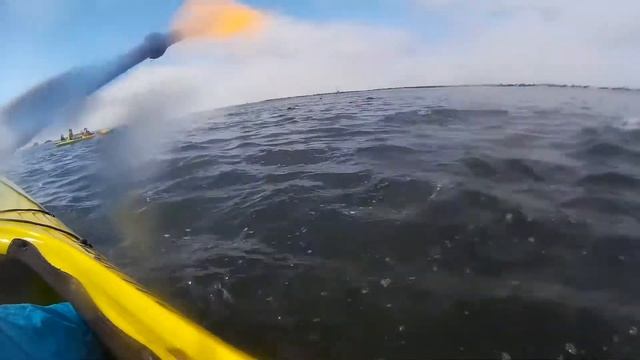 байдарка с котиками смотреть онлайн