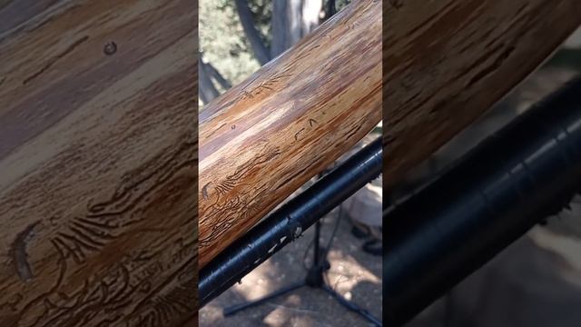 #путешествие #джембе #диджериду #мысайя Поездка на мыс Айя. Музыкальное выступление на йога-ретрите смотреть онлайн