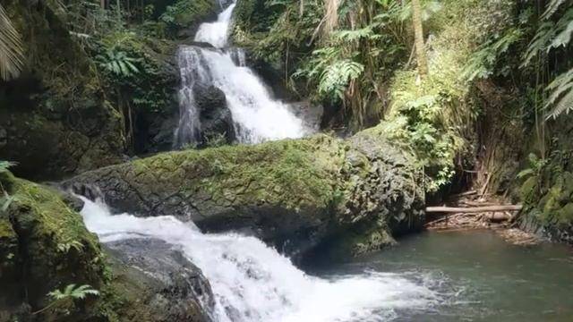 Удивительный лесной водопад, пение птиц смотреть онлайн