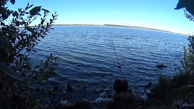 ОТПУСК В СЕНТЯБРЕ! Нововоронежский пруд охладитель и осенняя рыбалка 2021 (1 часть) смотреть онлайн